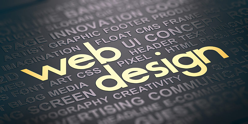 web design important skills